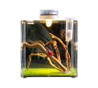 Jumping Spider Enclosure - 5.5x5.5cm Terrarium, Optimal Pet Wellness | Clear Reptile Cage with Breathing Hole, Acrylic Terrarium for Turtle Snails Lizard Beetles Tarantula Praying Mantis Frog