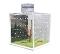 Jumping Spider Enclosure - 9x7.5cm Terrarium, Strong Applicability | Feeding Breeding Box with Light Humidifier, Clear Frog Tank Cage for Small Tree Dwelling Reptile Amphibian Spiders