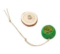 Jumping Spider Enclosure Accessories Climbing Decoration Toy