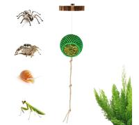 Jumping Spider Enclosure Accessories - Interactive Habitat Toy,Jumping Spider Habitat | for Reptile Bearded Dragon Snake Turtle Tortoise Frog Hermit Crab Leopard Gecko