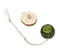 Jumping Spider Enclosure Accessories | Interactive Habitat Toy - Spider Enclosure Decor - for Reptile Bearded Dragon Snake Turtle Tortoise Frog Hermit Crab Leopard Gecko