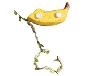 Jumping Spider Enclosure Accessories - Magnetic Fruit Design Box | Jumping Spider House for Halloween Décor, Grass & Pampas Displays, Turtle, Dragon, Bearded Gecko Terrarium Setup