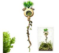 Jumping Spider Enclosure Accessories | Reptile Cage Toys Vines | Jumping Spider Enclosure Decor,for Lizard Turtle Hermit Crab Bearded Dragon Frog Tortoise Gecko Mantis Chameleons Ball Pythons Snakes