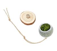 Jumping Spider Enclosure Accessories,Terrarium Decoration,Jumping Spider Habitat | for Reptile Bearded Dragon Leopard Gecko Turtle Tortoise Frog Hermit