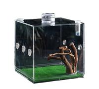 Jumping Spider Enclosure | Acrylic Reptile Growth Enclosure - Small Animal Breeding Box with Breathing Hole for Turtles, Snails, Lizards, and Beetles