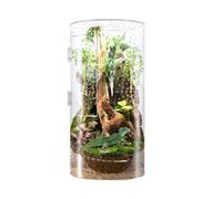 Jumping Spider Enclosure - Aquarium for Tree-Dwelling Reptiles, Acrylic Terrarium Cage, Waterproof Habitat with Front Opening, Durable Spider Housing | For Tarantula Plant Praying Man