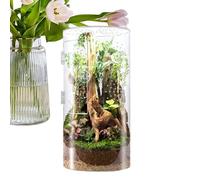 Jumping Spider Enclosure, Arboreal Reptile Tank with Front-Opening Door, Small Pet Acrylic Tanks, Waterproof Habitat for Tarantulas, Frogs, Mantises, Snails, Invertebrates, Clear