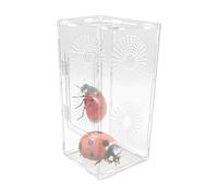 Jumping Spider Enclosure Breathable Secure Full Transparency Terrarium | Acrylic Jumping Spider Frog Enclosure Includes Mantises Feeding Accessories for Boys Kids Adults Teen Family