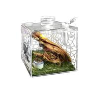 Jumping Spider Enclosure - Clear Pet Breeding Box | Praying Mantis Enclosure - for Mantis Lizard Small Animal Praying Home Indoor Living Room