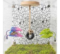 Jumping Spider Enclosure Climbing Decor Accessories, Natural Wood Ledge, Climbing Web with Mounting Hardware and 2pcs Leaf Ledge, Jumping Spider Accessories, Mini Terrarium Kit (Black, Hammock)