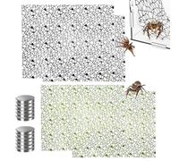 Jumping Spider Enclosure Climbing Web Reptile Climbing Toy