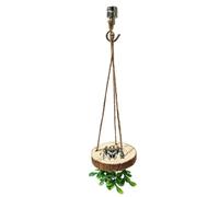 Jumping Spider Enclosure Decor Climbing Perch Activity Stand