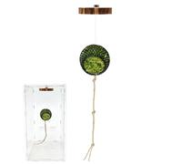 Jumping Spider Enclosure Decor,Interactive Decoration Toy,Jumping Spider Habitat - for Reptile Terrarium Snake Turtle Tortoise Frog Hermit Crab Leopard Gecko
