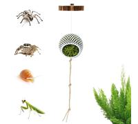 Jumping Spider Enclosure Decor,Interactive Habitat Toy | Jumping Spider Decor - for Reptile Terrarium Snake Turtle Tortoise Frog Hermit Crab Leopard Gecko