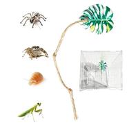 Jumping Spider Enclosure Decor Iron Frame Simulated Leaves Cotton Rope