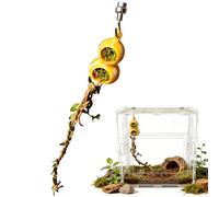 Jumping Spider Enclosure Decor,Magnetic Reptile Tank Accessories - Jumping Spider Habitat Cave | for Playing Climbing Foraging Resting Terrarium Aquarium Enclosure for Tarantula Mantis Scorpion