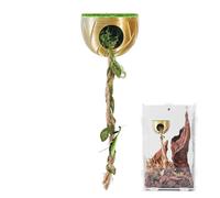 Jumping Spider Enclosure Decoration | Magnetic Accessories for Reptile Terrarium | Rest Cave for Jumping Spiders - Tarantulas Mantes Scorpions Game Climbing Rest Food