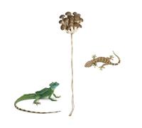 Jumping Spider Enclosure Decoration | Magnetic Mushroom Rack | Accessories for Jumping Spider Habitat, for Geckos, Tree Frogs, Hermit Crabs, Home Habitat and
