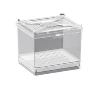 Jumping Spider Enclosure - Feeding Bin for Display, Educational Displays with Ventilation, Clear Habitat Display Box for Science Projects,Home Living Room, Apartment, Outdoor Camping and Classroom Us