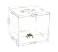 Jumping Spider Enclosure Jumping Spider Terrarium Acrylic Tarantula Enclosure Reptile Terrarium for Snail Critters Mantis Bug Small Insects