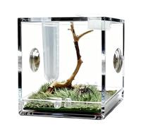 Jumping Spider Enclosure Jumping Spider Terrarium Clear Reptile Terrarium Acrylic Enclosure for Tarantula Small Hermit Crab Critters Snail Bugs Insects