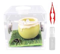 Jumping Spider Enclosure Jumping Spider Terrarium Tarantula Enclosure Acrylic Reptile Terrarium for Small Hermit Crab Critters Snail Tarantula Bugs Insects Style 3