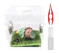 Jumping Spider Enclosure Jumping Spider Terrarium Tarantula Enclosure Acrylic Reptile Terrarium for Small Hermit Crab Critters Snail Tarantula Bugs Insects Style 4