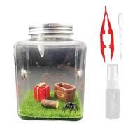 Jumping Spider Enclosure Jumping Spider Terrarium Transparent Reptile Terrarium Acrylic Enclosure for Small Hermit Crab Critters Snail Tarantula Bugs Insects Style 1