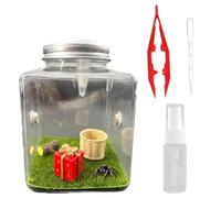 Jumping Spider Enclosure Jumping Spider Terrarium Transparent Reptile Terrarium Acrylic Enclosure for Small Hermit Crab Critters Snail Tarantula Bugs Insects Style 2