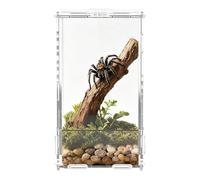 Jumping Spider Enclosure Kit Acrylic Clear Habitat with Magnetic Door