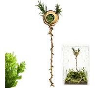 Jumping Spider Enclosure Toys Funny Magnetic Habitat Accessories