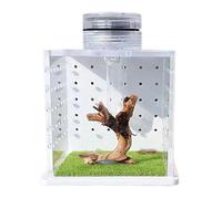 Jumping Spider Enclosure - Transparent Lizard Cage, Praying Mantis | Small Terrarium With Humidifier And Light For Frogs, Snails, Spiders, And Other Tiny Reptiles Or Invertebrate Pets