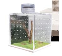 Jumping Spider Enclosure | Transparent Tarantula Enclosure | Small Praying Mantis Habitat, Snail Terrarium Feeding Box with Light Humidifier for Spiders and Other Invertebrates