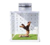 Jumping Spider Enclosure, Transparent Tarantula Tank, Breeding & Feeding Box with Humidifier, Lighted Reptile Habitat for Small Tree-Dwelling Reptiles, Amphibians & Spiders