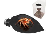 Jumping Spider Habitat Accessories Leaf Shape Magnetic Resting Ladder