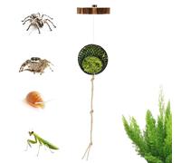 Jumping Spider Habitat Accessories - Moss, Climbing Rope Bridge, Mini Digital Hygrometer | Terrarium Decor for Reptiles, Frogs, Hermit Crabs, Bearded Dragons, Snakes, Turtles, Enclosures.