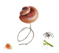 Jumping Spider Habitat Accessories Mushroom Design Ornament