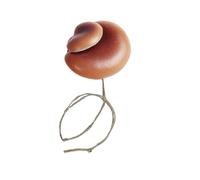 Jumping Spider Habitat Accessories Mushroom Design Ornament