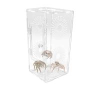Jumping Spider Habitat Breathable, Secure, Full Transparency Terrarium | Clear Spider Habitat Small Reptile Enclosure Mantises Feeding Accessories for Boys Girls Teen Adults Family