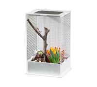 Jumping Spider Habitat Clear Acrylic Box