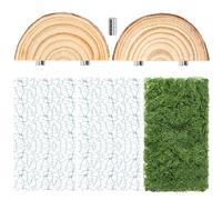 Jumping Spider Habitat Décor Kit, Jumping Spider Enclosure Accessory contain 2PCS Spider Web, 1 Piece of Faux Grass, 2PCS Natural Wood Ledge, 4PCS Strong Magnet for Small Reptile Enclosures