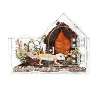 Jumping Spider Habitat, Transparent Terrarium for Reptile, Gecko Keeping Cage, for Spider Frog Tarantula Gecko Mantise Scorpion Home Travel Living Room Office