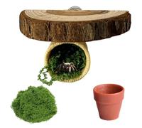 Jumping Spider Hide Jumping Spider Enclosure Accessories Kit Spiders Terrarium Accessories for Small Insects Pets