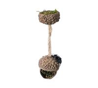 Jumping Spider Hide, Jumping Spider Fence Accessory Made of Real Acorns, Magnetic Hide Jumping Spider Habitat, Purely Handcrafted Jumping Spider Platform, Decorative Accessory (Combination)