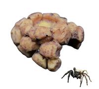 Jumping Spider Hide Resin Jumping Spider Accessories Spiders Hideout for Tarantula Critters Bugs Small Insects 1 Pack