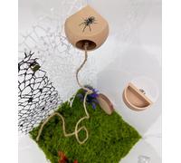 Jumping Spider Hide with Magnets & Feeding Dish - Enclosure Accessories for Pet Jumping Spiders, Hideout Set for Spider Habitat (Terrarium Not Included) (Beige)