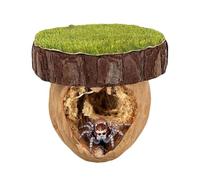 Jumping Spider Hideout Jumping Spider Hide Handmade Spiders Hide Habitat for Tarantula Critters Small Bugs Insects
