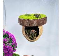 Jumping Spider Hideout - Magnetic Hiding Habitat, Climbing Platform, Handmade Fence Accessory From Natural Materials, Suitable for Small Insects
