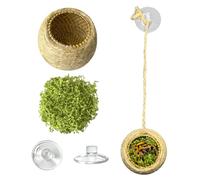 Jumping Spider Hideout - Woven Habitat for Jumping Spider Enclosure: Create a Simulated Environment for Hiding, Climbing & Exploration