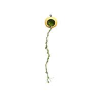 Jumping Spider Hides Magnetic - Climbing Rope Spider Enclosure Accessories | Terrariums Habitat Shelter Decor, Hideaway House Accessories for Small Reptiles Crested Geckos Arthropods Centipedes